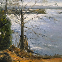 Motley, Judy Title: Sparkle on the James