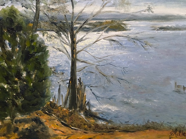 Motley, Judy Title: Sparkle on the James