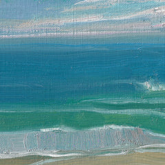 Julie Dyer Holmes Title: Coastal Clear