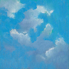 Julie Dyer Holmes Title: Diffuse Clouds