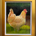 Katy Haskell Title: Buff Orpington