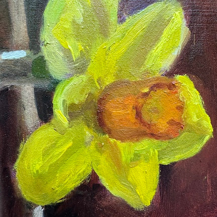 Katy Haskell Title: Daffodil Study