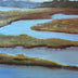 Katy Haskell Title: Marsh Study