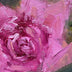Katy Haskell Title: Rose Study