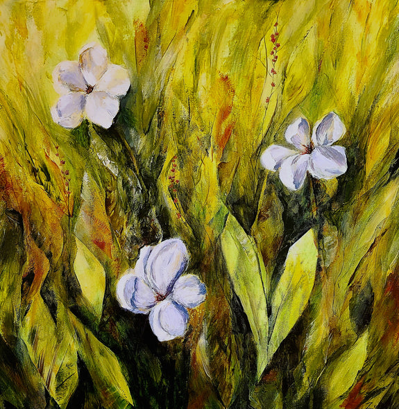 Kimberly Zook Title: Irish Wilds