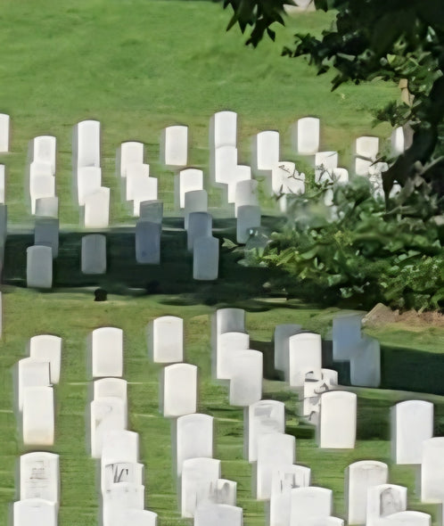 Ledman, Robert title: Arlington Cemetery