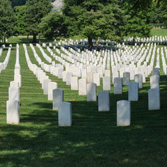 Ledman, Robert title: Arlington Cemetery