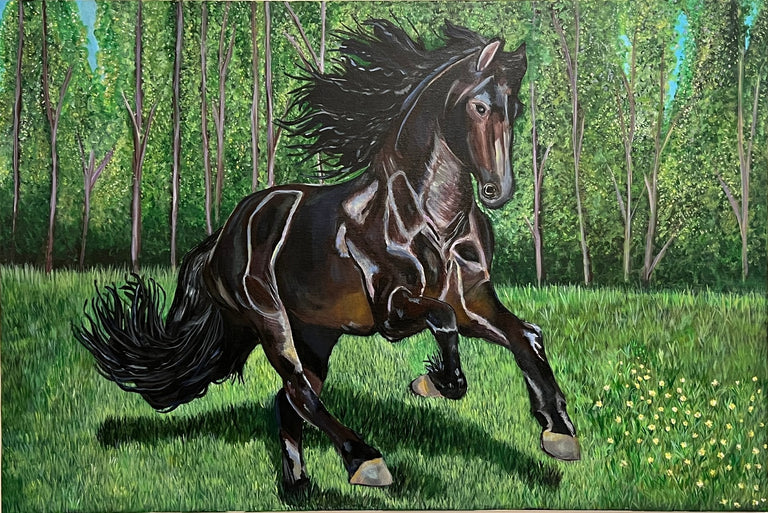 Lehman, Jessica Title: Friesian Stallion in a Field
