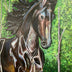 Lehman, Jessica Title: Friesian Stallion in a Field