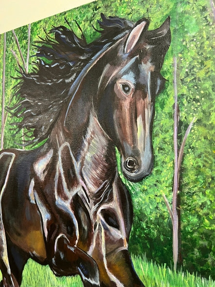 Lehman, Jessica Title: Friesian Stallion in a Field