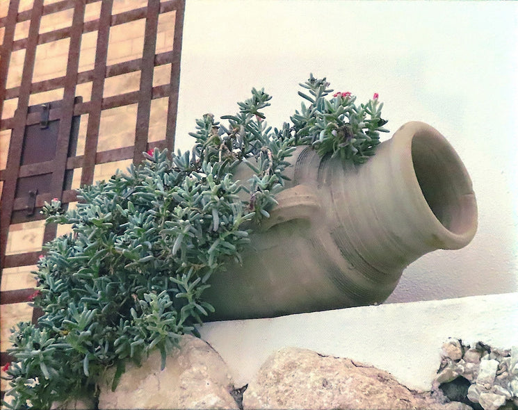 Leone, Ron Title: Life!...on the rocks