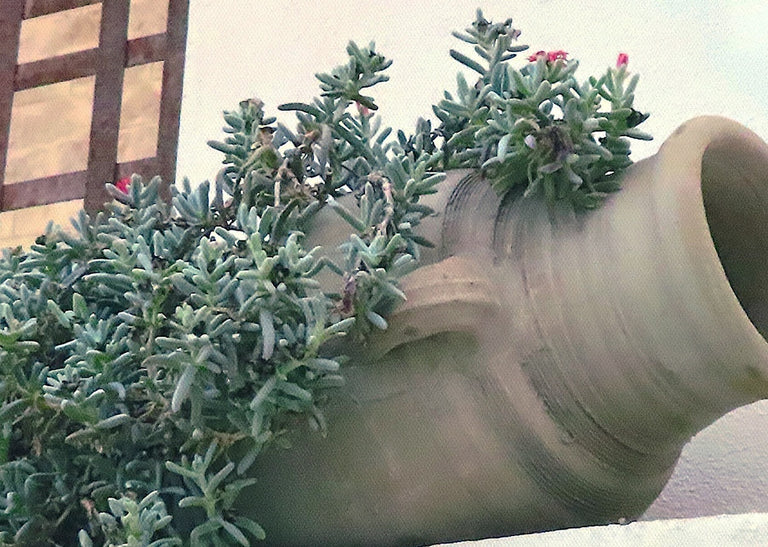 Leone, Ron Title: Life!...on the rocks