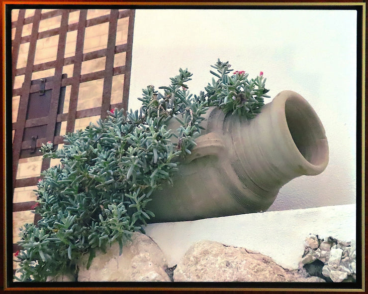 Leone, Ron Title: Life!...on the rocks