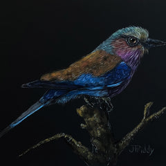 Jan Priddy Title: Lilac Breasted Roller