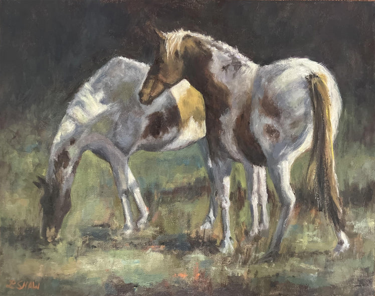 Linda Shaw Title: Jason's Horses