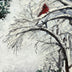Linda W Clark Title: First House on the Right