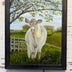 Linda W Clark: Under the Shade Tree