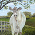 Linda W Clark: Under the Shade Tree