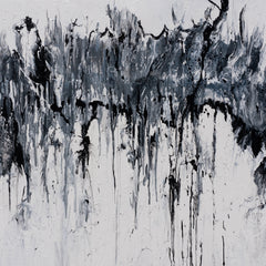 Lindsay Siemers Title: Truth is Black and White