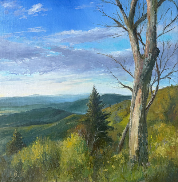 Lois Baird Title: Looking Beyond