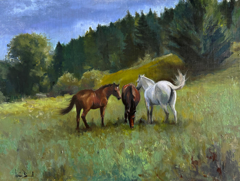 Lois Baird Title: The Three Amigos