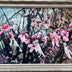 Loughlin, Rachel  title: Wishing Tree