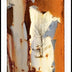 Lowden, Cyane  title: Enigma