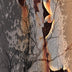 Lowden, Cyane  title: Mystree