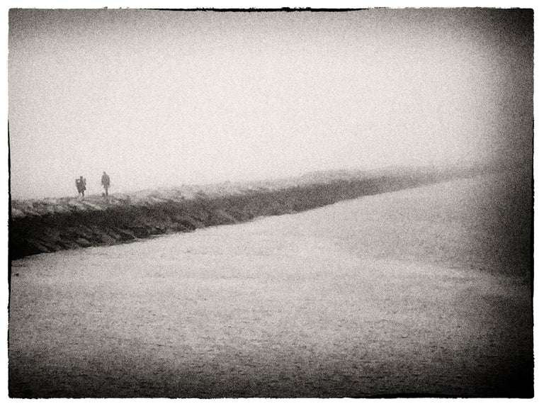 Cyane Lowden﻿ Title: Harbor Fog