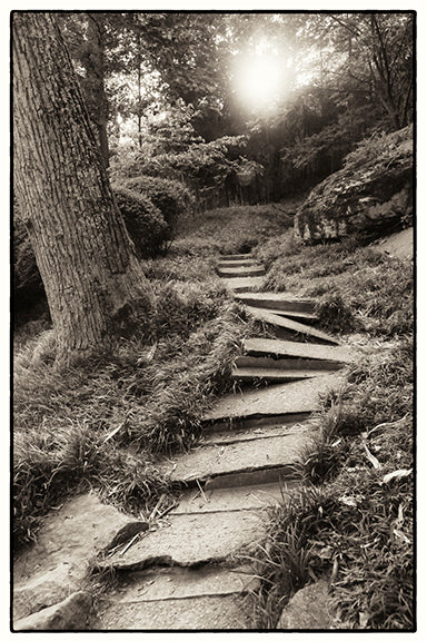 Cyane Lowden Title: Stairway