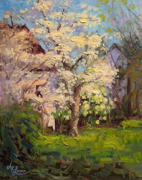 Andre Lucero Title: Dogwood