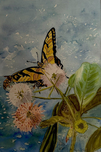Lynda Edwards Title: Butterfly on the Pond
