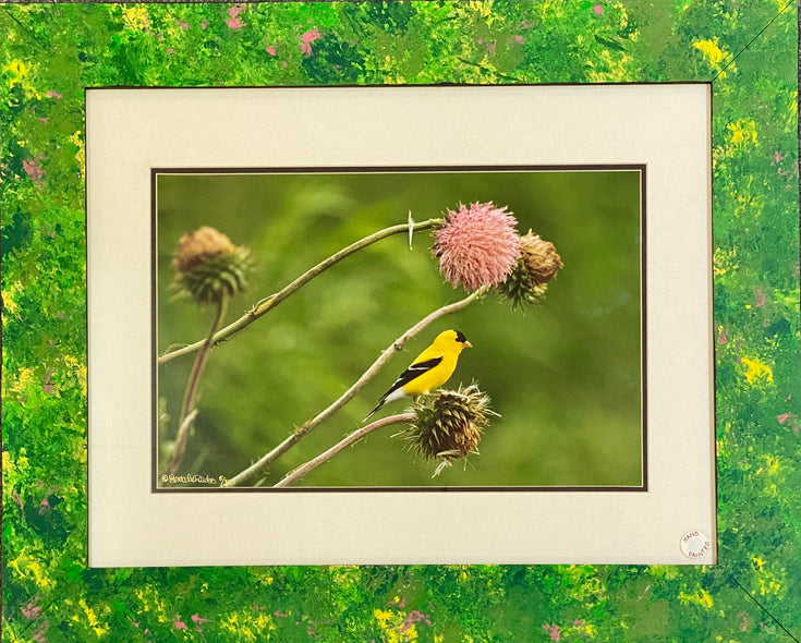 Lynda Richardson Title: Goldfinch on thistle #1