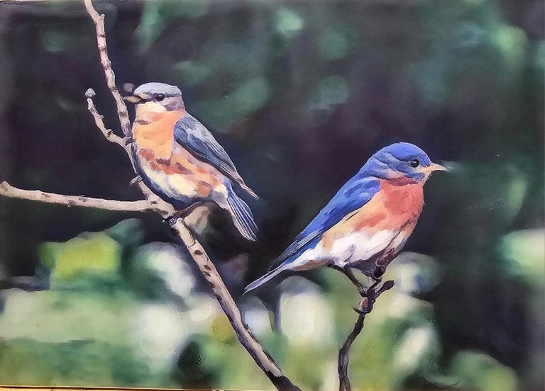 Martha Kroupa Title: Bluebird Couple