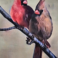 Martha Kroupa Title: Cardinal Couple