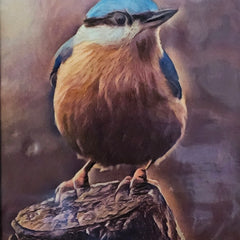 Martha Kroupa Title: Electric Bluebird