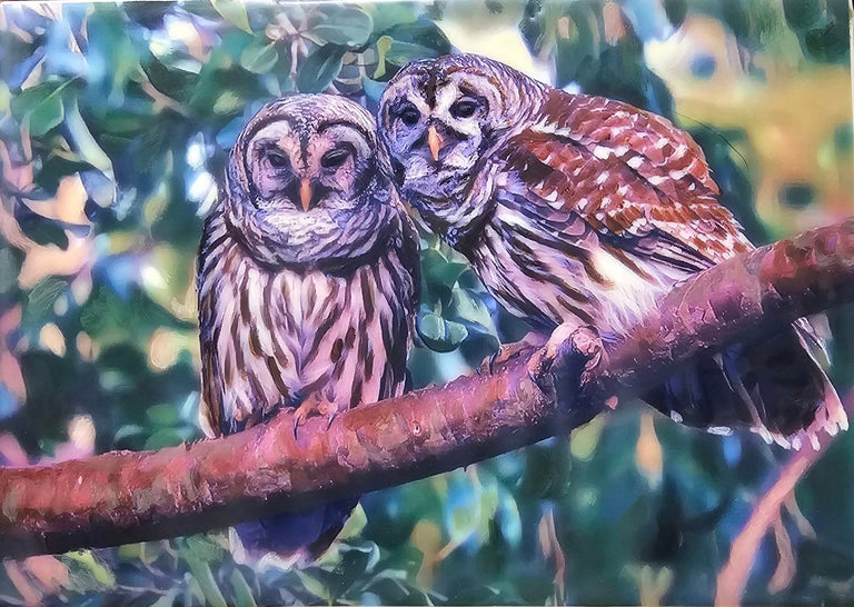 Martha Kroupa Title: Owl Couple