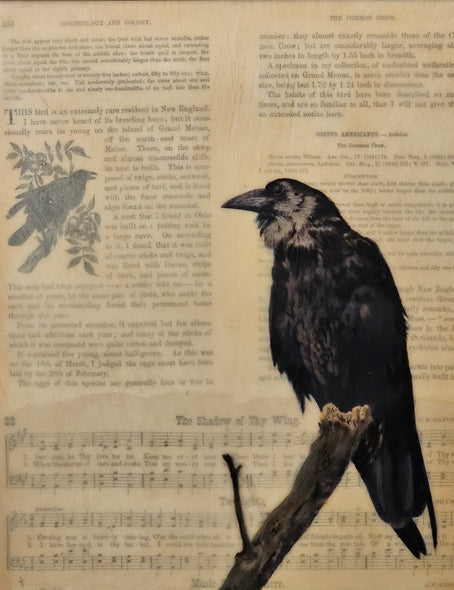 Martha Kroupa Title: Shadow of Thy Wing Crow