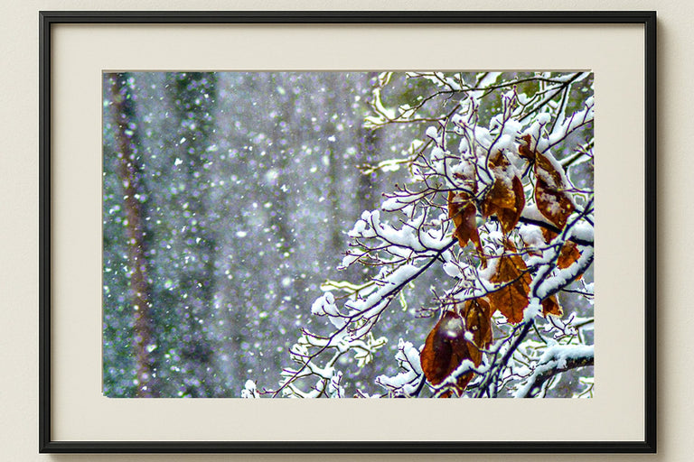 Maupin, Stan Title: Hanging On