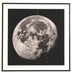 Maupin, Stan Title: ISS Transits the Moon