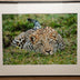 Maupin, Stan title: I See You!