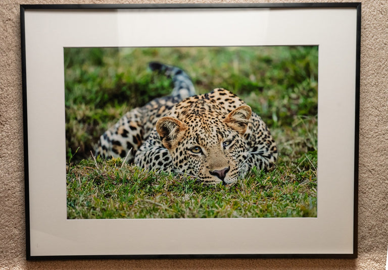 Maupin, Stan title: I See You!
