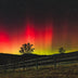Maupin, Stan Title: Northern Lights in Albemarle