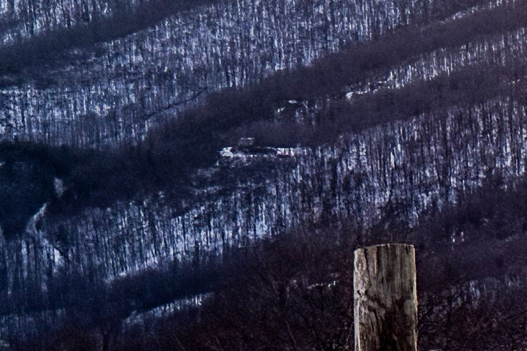 Maupin, Stan Title: Wintergreen Winter