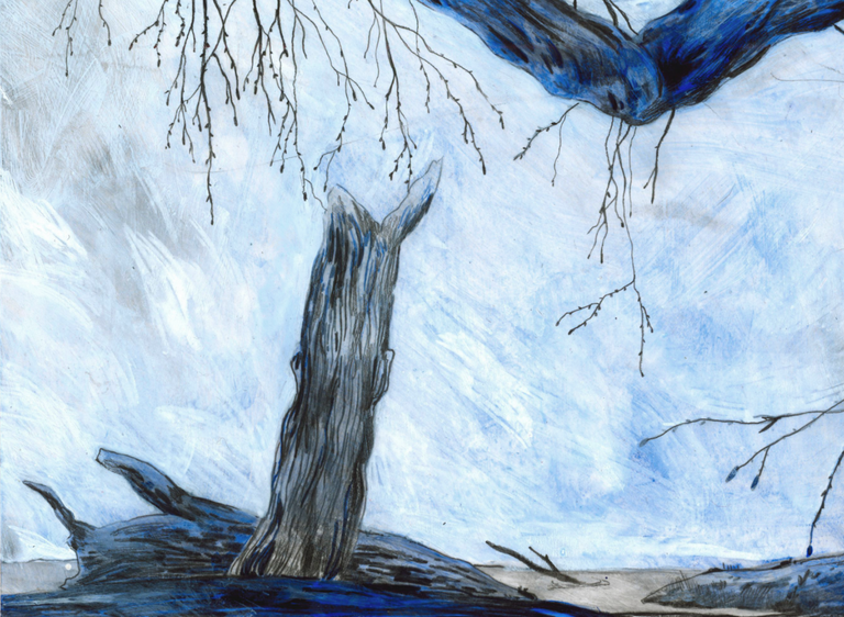 McGuigan, Catherine Title: Pony Pasture