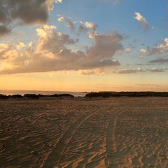 McKinney, Judith Title: Sunset and Sand Dunes