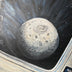 Merritt, Susannah Wagner Title: A Different View from Artemis II