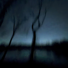 Mike Ostrander Title: Warren's Island