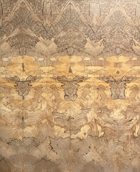 Mittman, Brandon  title: Bigleaf Burl 1