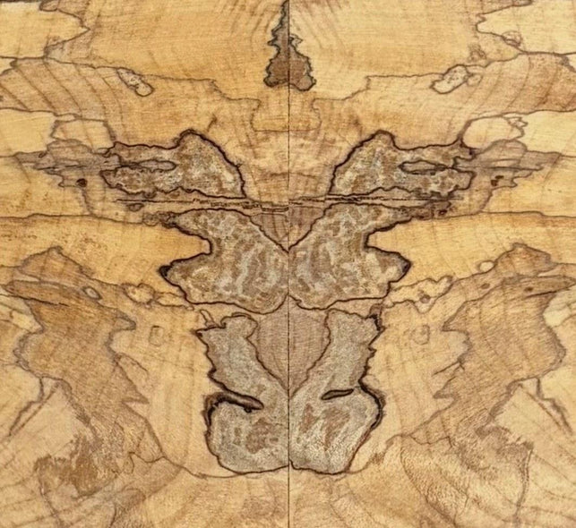 Mittman, Brandon  title: Bigleaf Burl 1
